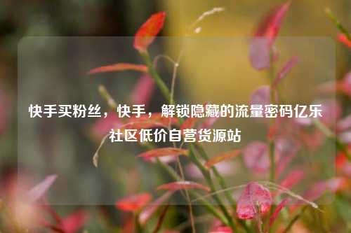 快手买粉丝，快手	，解锁隐藏的流量密码亿乐社区低价自营货源站  第1张