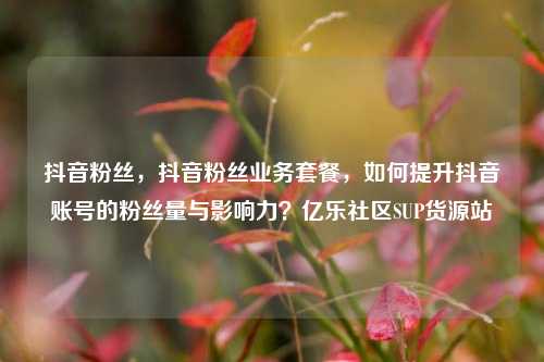 抖音粉丝，抖音粉丝业务套餐，如何提升抖音账号的粉丝量与影响力？亿乐社区SUP货源站  第1张