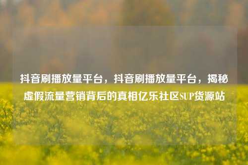 抖音刷播放量平台，抖音刷播放量平台，揭秘虚假流量营销背后的真相亿乐社区SUP货源站  第1张