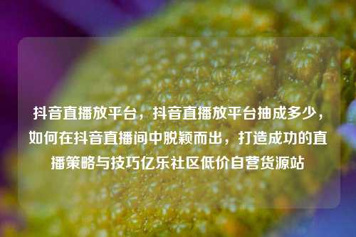 抖音直播放平台，抖音直播放平台抽成多少，如何在抖音直播间中脱颖而出，打造成功的直播策略与技巧亿乐社区低价自营货源站  第1张