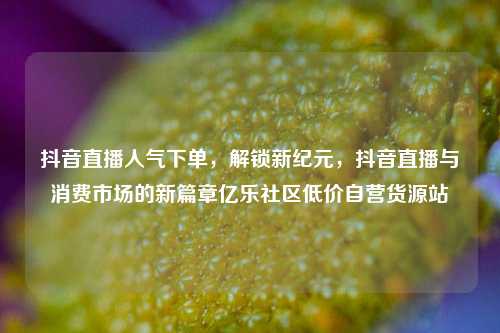 抖音直播人气下单，解锁新纪元，抖音直播与消费市场的新篇章亿乐社区低价自营货源站  第1张