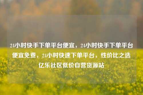 24小时快手下单平台便宜，24小时快手下单平台便宜免费，24小时快速下单平台，性价比之选亿乐社区低价自营货源站  第1张