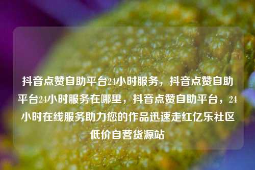 抖音点赞自助平台24小时服务，抖音点赞自助平台24小时服务在哪里，抖音点赞自助平台，24小时在线服务助力您的作品迅速走红亿乐社区低价自营货源站  第1张