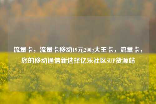 流量卡，流量卡移动19元200g大王卡，流量卡，您的移动通信新选择亿乐社区SUP货源站  第1张
