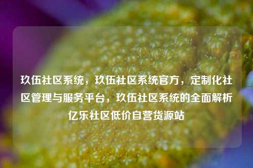 玖伍社区系统，玖伍社区系统官方，定制化社区管理与服务平台	，玖伍社区系统的全面解析亿乐社区低价自营货源站  第1张