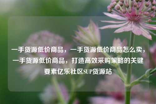 一手货源低价商品，一手货源低价商品怎么卖	，一手货源低价商品，打造高效采购策略的关键要素亿乐社区SUP货源站  第1张