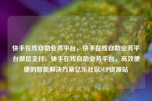 快手在线自助业务平台，快手在线自助业务平台微信支付，快手在线自助业务平台	，高效便捷的智能解决方案亿乐社区SUP货源站  第1张