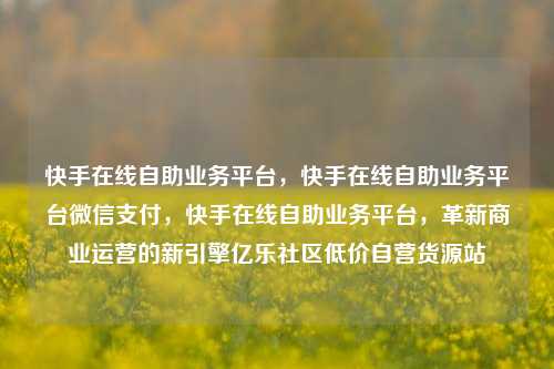 快手在线自助业务平台，快手在线自助业务平台微信支付	，快手在线自助业务平台，革新商业运营的新引擎亿乐社区低价自营货源站  第1张
