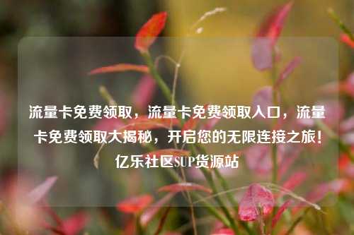 流量卡免费领取，流量卡免费领取入口，流量卡免费领取大揭秘	，开启您的无限连接之旅！亿乐社区SUP货源站  第1张