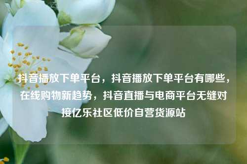 抖音播放下单平台，抖音播放下单平台有哪些	，在线购物新趋势，抖音直播与电商平台无缝对接亿乐社区低价自营货源站  第1张