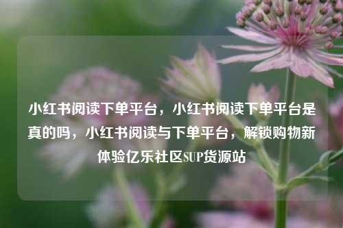 小红书阅读下单平台，小红书阅读下单平台是真的吗	，小红书阅读与下单平台，解锁购物新体验亿乐社区SUP货源站  第1张