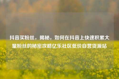 抖音买粉丝，揭秘，如何在抖音上快速积累大量粉丝的秘密攻略亿乐社区低价自营货源站  第1张