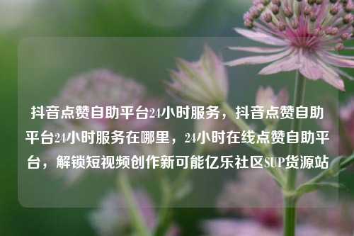 抖音点赞自助平台24小时服务，抖音点赞自助平台24小时服务在哪里	，24小时在线点赞自助平台，解锁短视频创作新可能亿乐社区SUP货源站  第1张