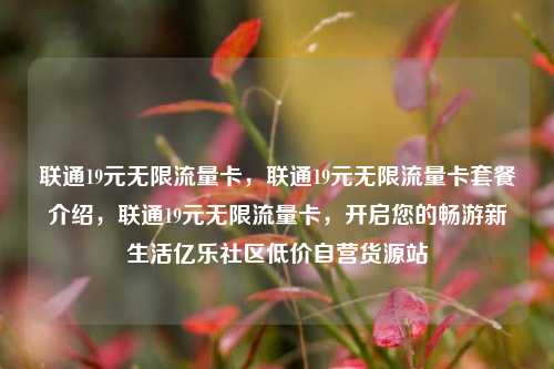 联通19元无限流量卡，联通19元无限流量卡套餐介绍，联通19元无限流量卡	，开启您的畅游新生活亿乐社区低价自营货源站  第1张