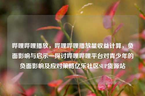 哔哩哔哩播放	，哔哩哔哩播放量收益计算，负面影响与启示—探讨哔哩哔哩平台对青少年的负面影响及应对策略亿乐社区SUP货源站  第1张