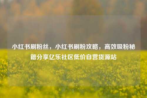 小红书刷粉丝，小红书刷粉攻略	，高效吸粉秘籍分享亿乐社区低价自营货源站  第1张