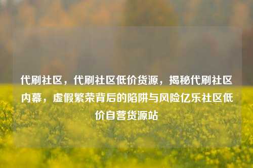 代刷社区	，代刷社区低价货源，揭秘代刷社区内幕，虚假繁荣背后的陷阱与风险亿乐社区低价自营货源站  第1张