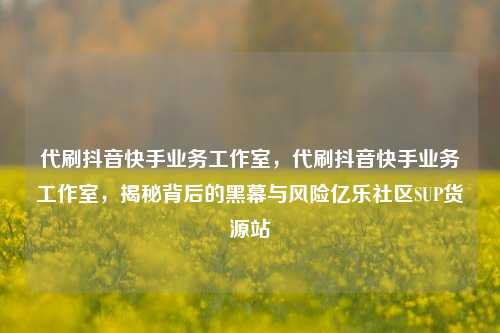 代刷抖音快手业务工作室，代刷抖音快手业务工作室，揭秘背后的黑幕与风险亿乐社区SUP货源站  第1张