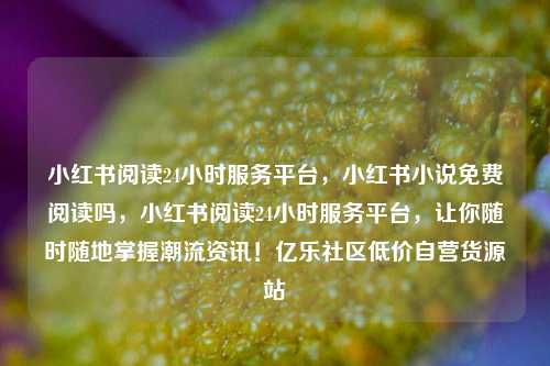 小红书阅读24小时服务平台	，小红书小说免费阅读吗，小红书阅读24小时服务平台，让你随时随地掌握潮流资讯！亿乐社区低价自营货源站  第1张