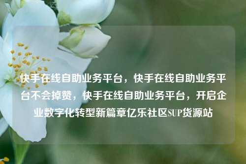 快手在线自助业务平台，快手在线自助业务平台不会掉赞，快手在线自助业务平台	，开启企业数字化转型新篇章亿乐社区SUP货源站  第1张
