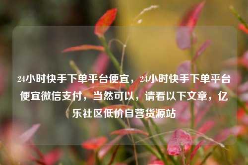24小时快手下单平台便宜，24小时快手下单平台便宜微信支付，当然可以	，请看以下文章，亿乐社区低价自营货源站  第1张