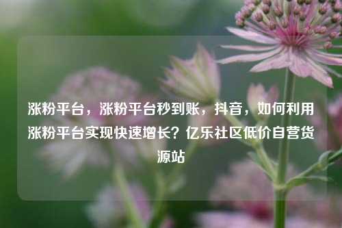 涨粉平台，涨粉平台秒到账，抖音	，如何利用涨粉平台实现快速增长？亿乐社区低价自营货源站  第1张
