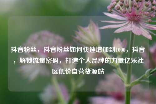 抖音粉丝，抖音粉丝如何快速增加到1000，抖音	，解锁流量密码，打造个人品牌的力量亿乐社区低价自营货源站  第1张