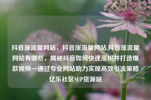 抖音涨流量网站	，抖音涨流量网站,抖音涨流量网站有哪些，揭秘抖音如何快速涨粉并打造爆款视频—通过专业网站助力实现高效引流策略亿乐社区SUP货源站  第1张