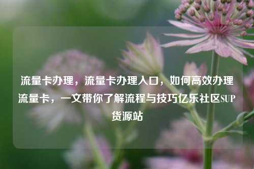 流量卡办理，流量卡办理入口，如何高效办理流量卡	，一文带你了解流程与技巧亿乐社区SUP货源站  第1张