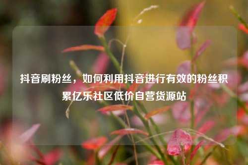 抖音刷粉丝	，如何利用抖音进行有效的粉丝积累亿乐社区低价自营货源站  第1张