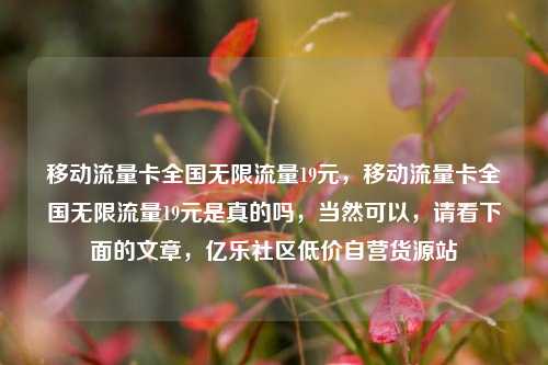 移动流量卡全国无限流量19元，移动流量卡全国无限流量19元是真的吗，当然可以	，请看下面的文章，亿乐社区低价自营货源站  第1张