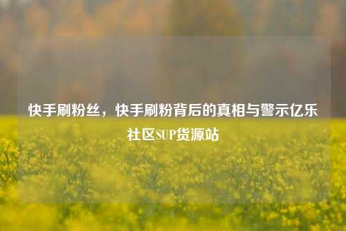 快手刷粉丝，快手刷粉背后的真相与警示亿乐社区SUP货源站  第1张