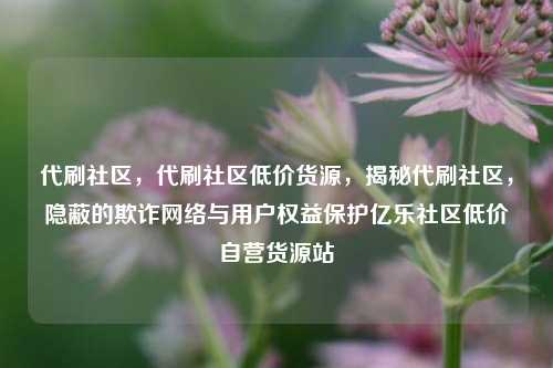 代刷社区	，代刷社区低价货源，揭秘代刷社区，隐蔽的欺诈网络与用户权益保护亿乐社区低价自营货源站  第1张