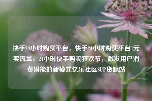 快手24小时购买平台，快手24小时购买平台1元买流量	，24小时快手购物狂欢节，激发用户消费潜能的新模式亿乐社区SUP货源站  第1张
