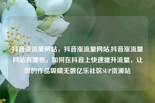 抖音涨流量网站，抖音涨流量网站,抖音涨流量网站有哪些，如何在抖音上快速提升流量	，让您的作品吸睛无数亿乐社区SUP货源站  第1张