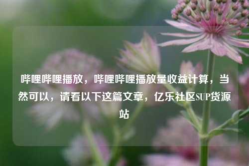哔哩哔哩播放，哔哩哔哩播放量收益计算，当然可以	，请看以下这篇文章，亿乐社区SUP货源站  第1张
